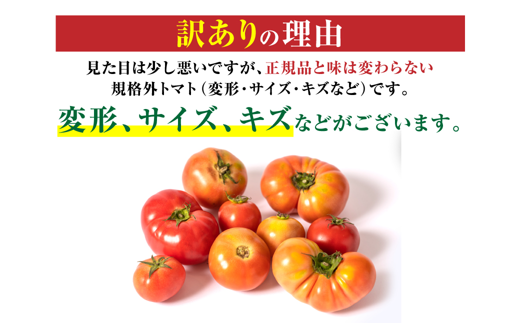    八代市産 規格外トマト 4.5kg 熊本県 トマト 野菜