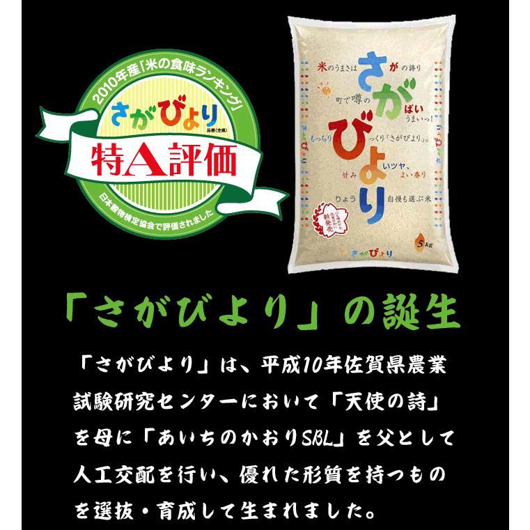 佐賀県産 さがびより 白米 5kg 送料無料 （一部地域除く）