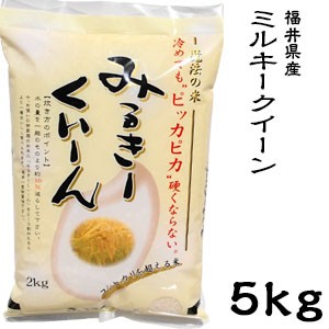 米 日本米 令和4年度産 福井県産 ミルキークイーン 5kg