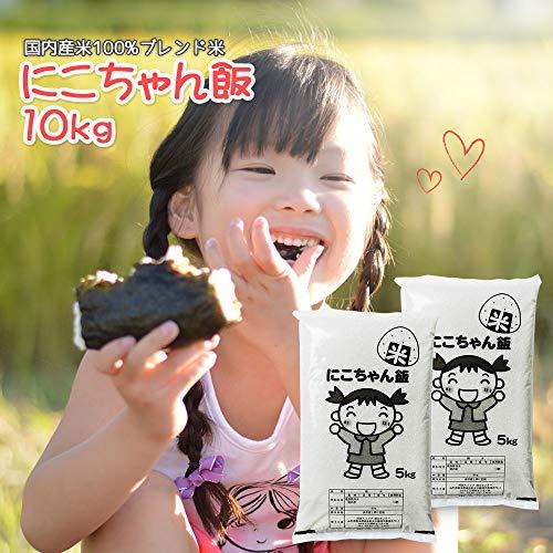  白米 10kg (5kg×2袋) にこちゃん飯 国内産100%