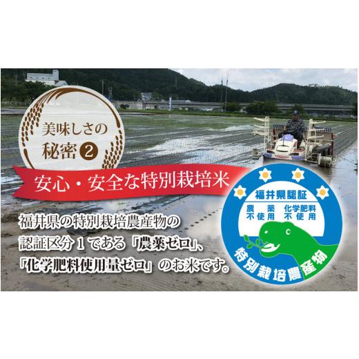 ふるさと納税 福井県 永平寺町  令和5年度産 永平寺町産 農薬不使用・化学肥料不使用 特別栽培米 コシヒカリ 10kg×12ヶ…