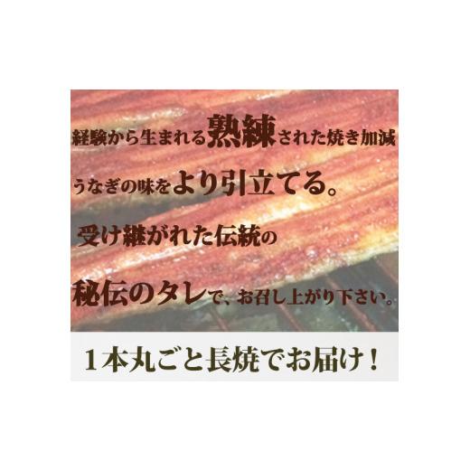 ふるさと納税 和歌山県 和歌山市 大型サイズふっくら柔らか　国産うなぎ蒲焼き　3尾