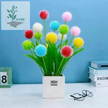 青禾園藝 （雪絨花種子）稀有品種 四季種植 室內外盆栽庭院種子 遇土就長 花卉種子 庭院開花不斷 超低價