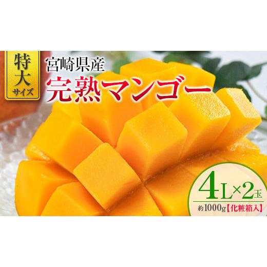 ふるさと納税 宮崎県 新富町 ＜特大サイズ＞完熟マンゴー 4L×2玉 化粧箱入り 宮崎県産 ※2024年4月中旬から順次出荷