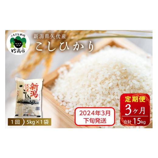 ふるさと納税 新潟県 妙高市 新潟県矢代産コシヒカリ5kg×3回（計15kg）