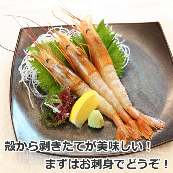 有頭赤えび2kg　送料無料 新鮮船上凍結(50尾前後)