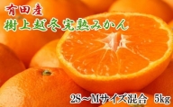 有田産樹上越冬完熟みかん5kg（2S～Mサイズ混合・赤秀）※2024年1月下旬頃～2024年2月中旬頃順次発送