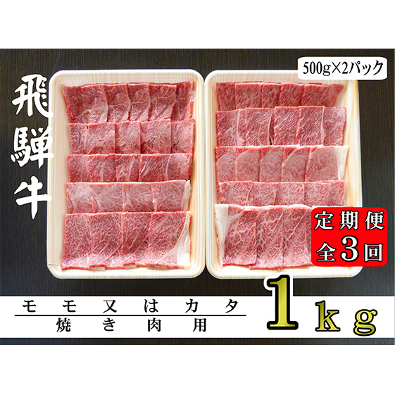 A5ランク飛騨牛赤身肉焼き肉用1kg（モモ又はカタ）