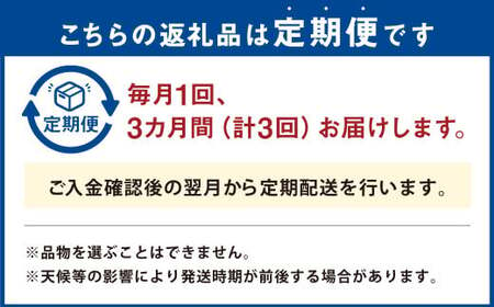  野菜 10品程度 詰め合わせ 3ヶ月 定期便 やさい 詰合せ セット