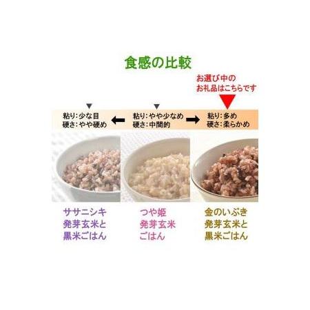 ふるさと納税 金のいぶき発芽玄米と黒米を炊いたごはん150g×40パック（有機栽培玄米使用） 宮城県登米市