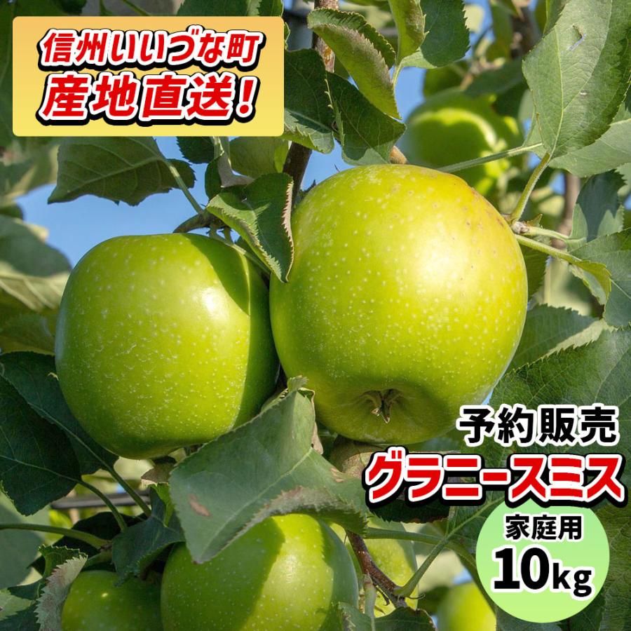 りんご グラニースミス 10kg 予約販売 11月下旬以降順次発送 長野県 飯綱町産 訳あり 家庭用 信州 10キロ ギフト 林檎 リンゴ