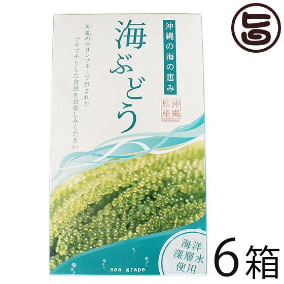 海ぶどう 120g×6箱 グローアップコーポレーションF 海洋深層水使用 海藻 うみぶどう 沖縄 土産 定番 人気