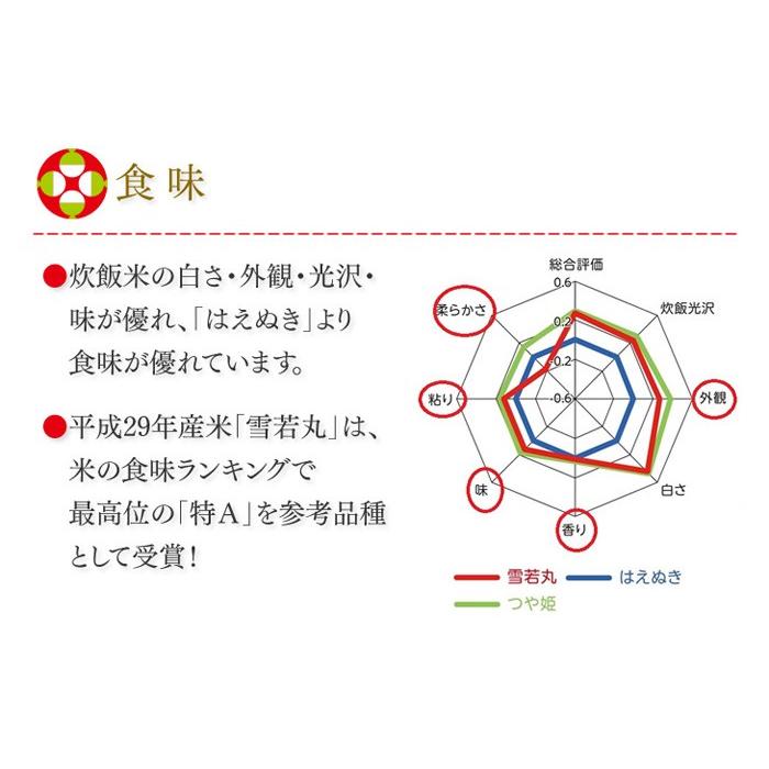 令和5年産 山形県産 雪若丸 10kg（5kg×2） お米 ご飯 ライス 白米 粒立ち