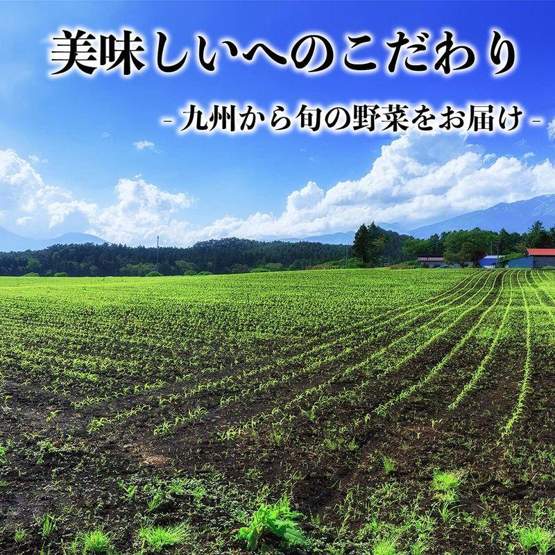 新鮮お野菜 12品以上 野菜セット オマケ4?5品付き 九州市場から直送 野菜詰め合わせ九州野菜10品