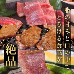 ふるさと納税 大浦和牛焼肉セット(1kg)《牛肉 牛 国産 焼肉 セット おすすめ ロース 美味しい 牛タン ハラミ ヒレ 食べ比べ バーベキュー》 兵庫県加古川市