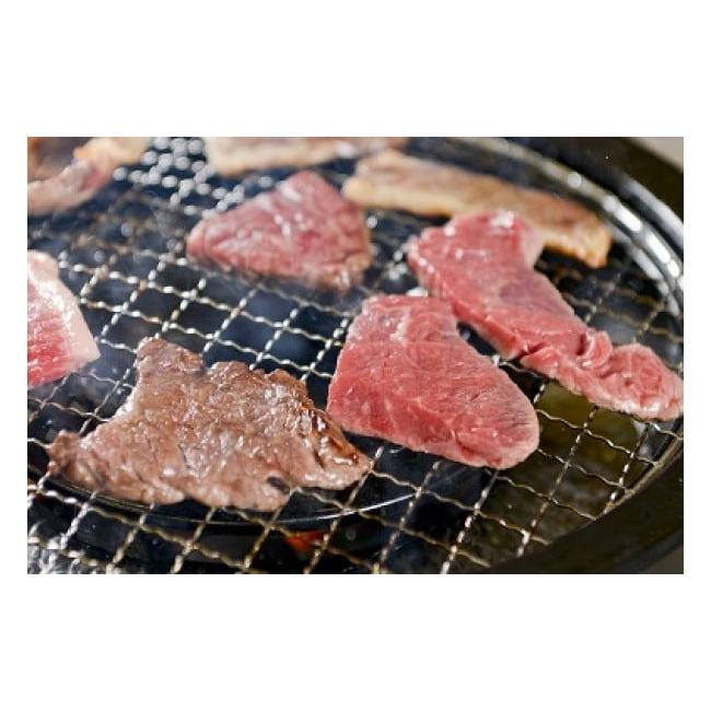 ふるさと納税 福岡県 嘉麻市 赤崎牛 約600g 牛肉