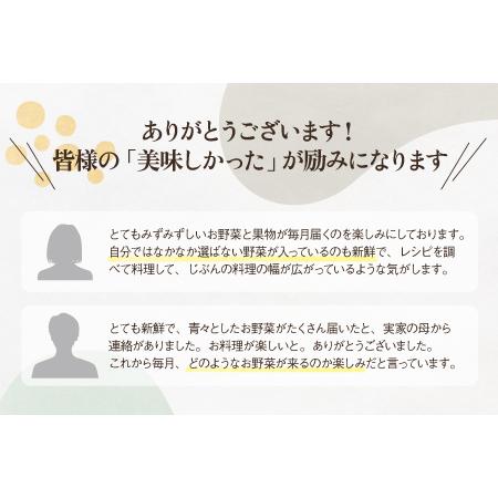 ふるさと納税 シェフの目線「大洲もぎたてフルーツ＆旬野菜詰合せ」半年パスポート 愛媛県大洲市