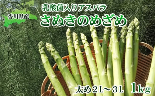 令和6年産　はなまる農園の乳酸菌入り アスパラ太め2L～３L