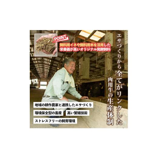 ふるさと納税 鹿児島県 さつま町 s317 お肉屋監修！黒毛和牛使用コロッケ(計50個・5個×10P)