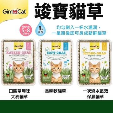 德國竣寶GIMBORN 竣寶軟貓草(盒裝)100g 含多種維他命 貓零食✨Q寶貝寵物✨