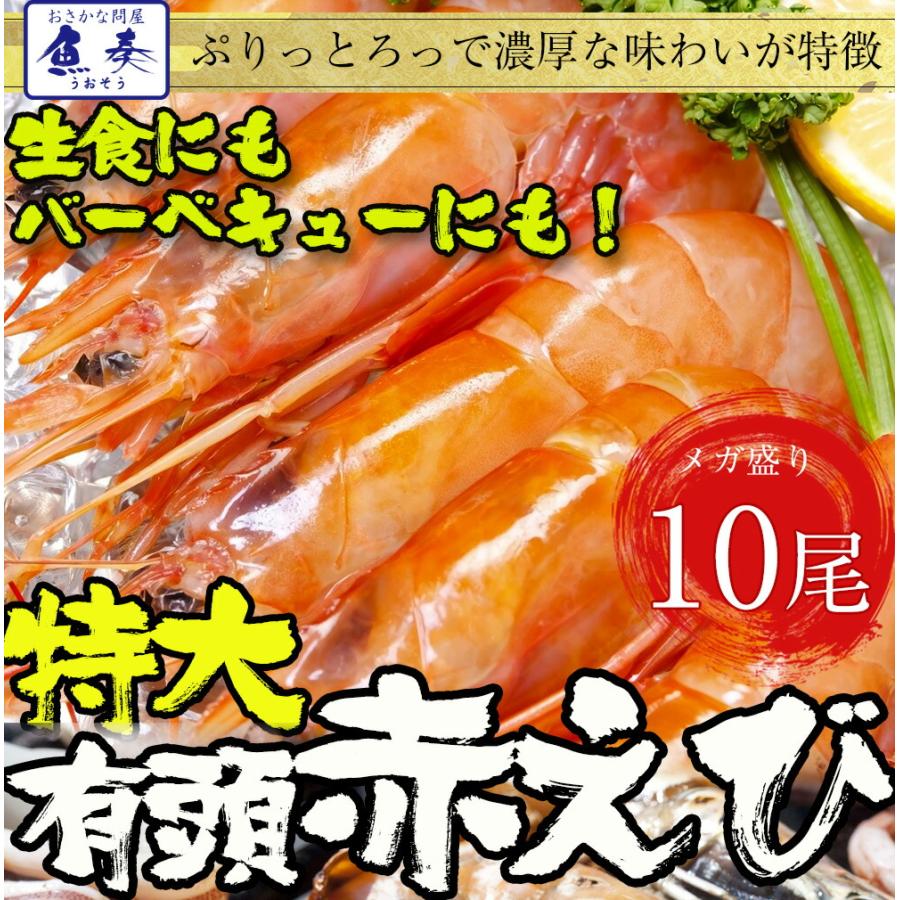 天然 有頭 赤えび 特大サイズ 10尾 赤海老 BBQ 海鮮 在宅 母の日 父の日 敬老 お中元 お歳暮 ギフト