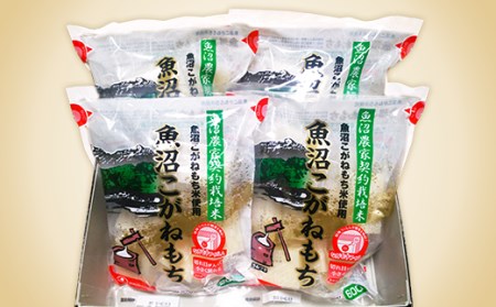 C2-M1新潟県魚沼産こがねもち（長岡川口地域）2.4kg（600g×4袋）