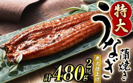 鰻 うなぎ うなぎの蒲焼 炭火焼き 炭火   1尾で約240gのビッグサイズ うなぎ蒲焼 2尾 計約480g （タレ・山椒付き） 中国産 