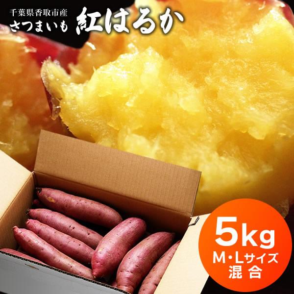 さつまいも 紅はるか 5kg M・Lサイズ 送料無料 サツマイモ さつま芋 千葉県産 国産