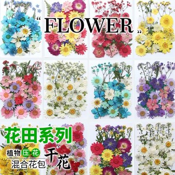 創意手工貼臉妝干花壓花材料包押花書簽真樹葉植物標本滴膠手機殼