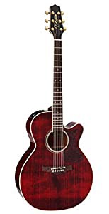 Takamine DMP551C WR エレアコギター 500シリーズ (タカミネ)(中古品)