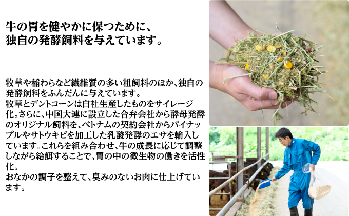 サロマ和牛 ヒレ 半頭分 薄切りスライス 約200g×15P前後 北海道 オホーツク 佐呂間町 肉 牛肉 和牛 ヒレ肉