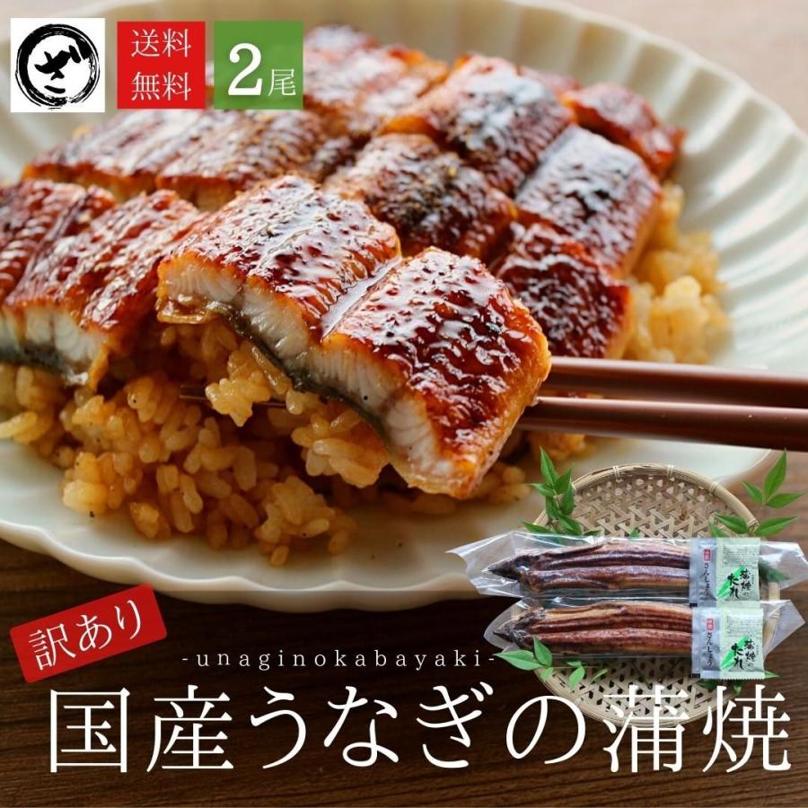 国産うなぎ蒲焼　2尾(約125ｇ×2）　 うなぎ 鰻 ウナギ 蒲焼 うな丼