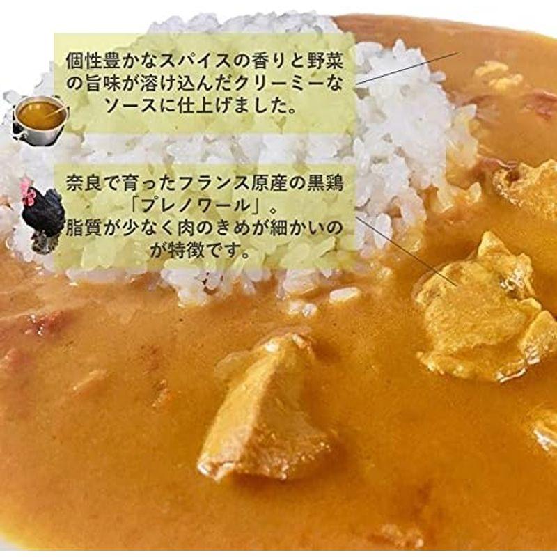 チキンカレー フランス原産鶏 プレノワール レトルトカレー 200g 10食セット