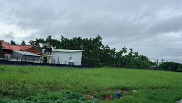 (專約)萬巒豬腳街都計內雙面臨路建地｜屏東縣萬巒鄉萬全段