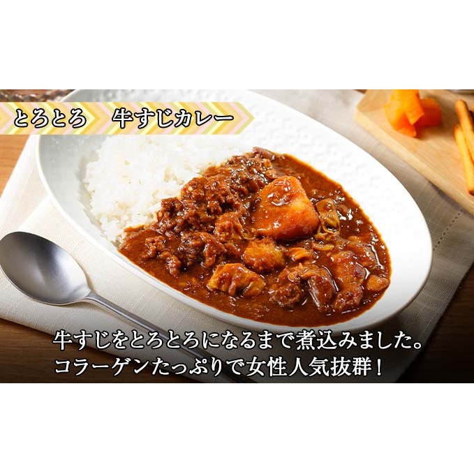 先行受付倶知安 牛すじカレー 北海道 計3個 中辛 レトルト食品 加工品