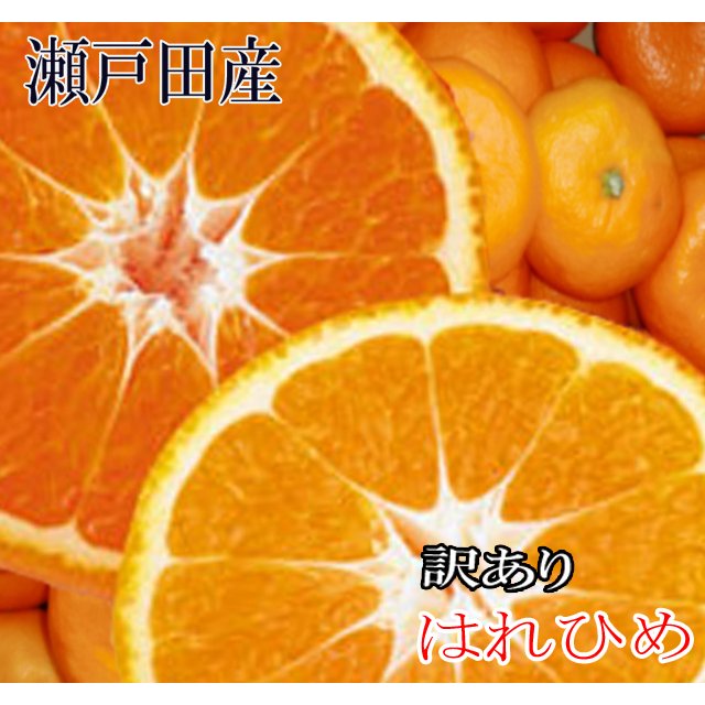 はれひめみかん 訳あり 3kg 広島 瀬戸田産 みかん訳あり 瀬戸田みかん 家庭用みかん 訳ありみかん 送料無料みかん みかん送料無料