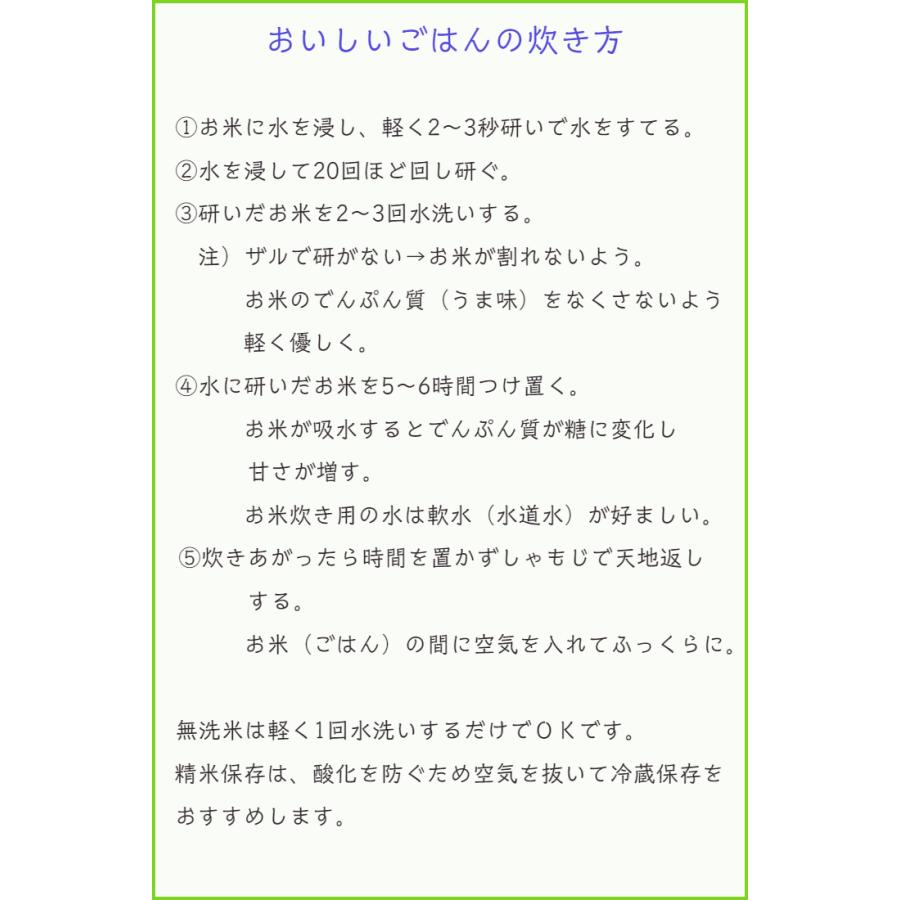 米 お米 はえぬき 5kgｘ2  無洗米 Ａ米 1等米  山形産 ごはん つきたて ごはんの炊き方 お米の選び方 ブランド米