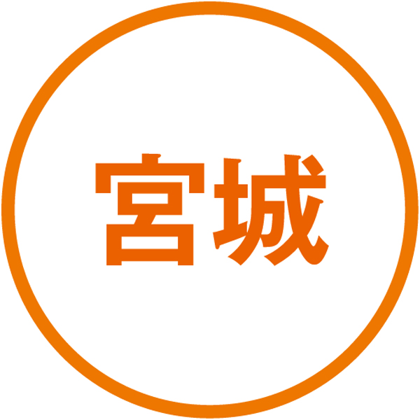 仙水フーズ 希望の干し干物セット(4種8枚) 