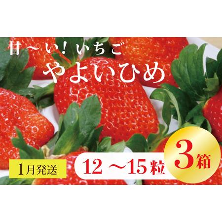 ふるさと納税 V-7 甘〜い！いちご　やよいひめ　12粒〜15粒入り　3箱 茨城県行方市