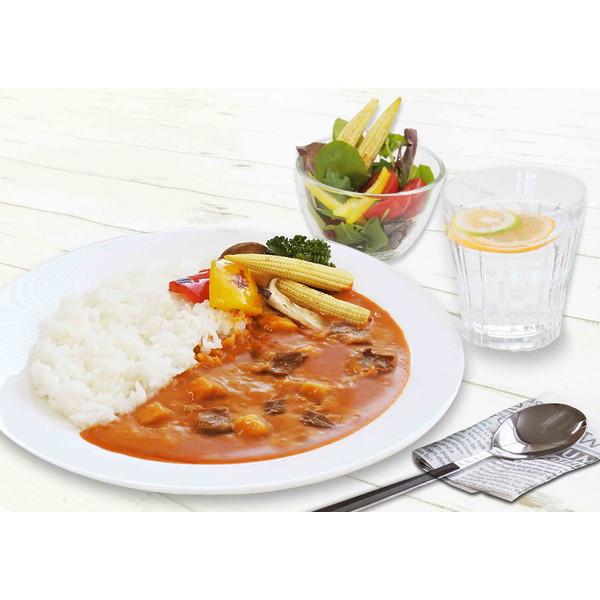 長野 信州カレーギフト 食品 ギフト プレゼント 贈答 熨斗 のし 贈り物 記念日 お祝い 冠婚葬祭 内祝 御祝 無地 出産内祝 結婚内祝 御見舞 快気祝 代引不可