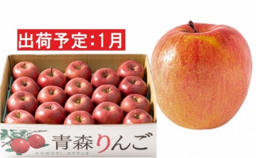 1月  家庭用濃厚サンふじ約5kg　糖度14度以上青森津軽りんご