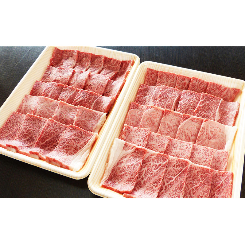 牛肉 飛騨牛 焼き肉 セット 赤身 モモ 又は カタ 1ｋｇ 黒毛和牛 Ａ5 美味しい お肉 牛 肉 和牛 焼肉 BBQ バーベキュー 