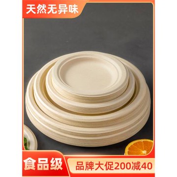 一次性餐盤餐具食品級盤子碗筷碟子加厚紙盤可降解畫畫燒烤家用