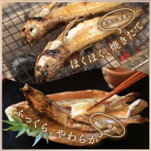 京丹後の地元魚屋が作ったお任せ干物セット（冷凍）