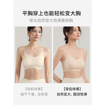 平胸專用固定杯細肩帶粉底液內衣女美背無痕2026新款小胸顯大聚攏