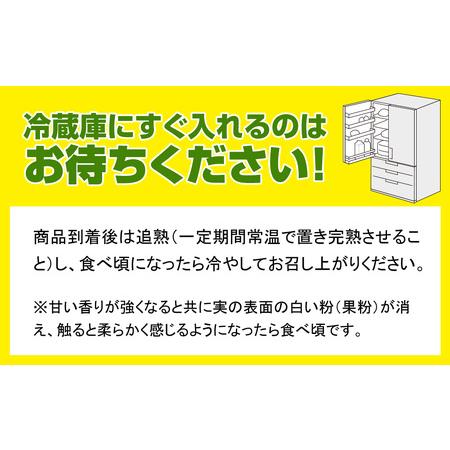 ふるさと納税 南風原農園　丹精込めた「キーツマンゴー」1kg 沖縄県南風原町