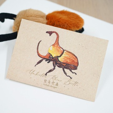 【甲蟲先生 - 豎角兜蟲】水彩插畫 明信片 昆蟲 自然