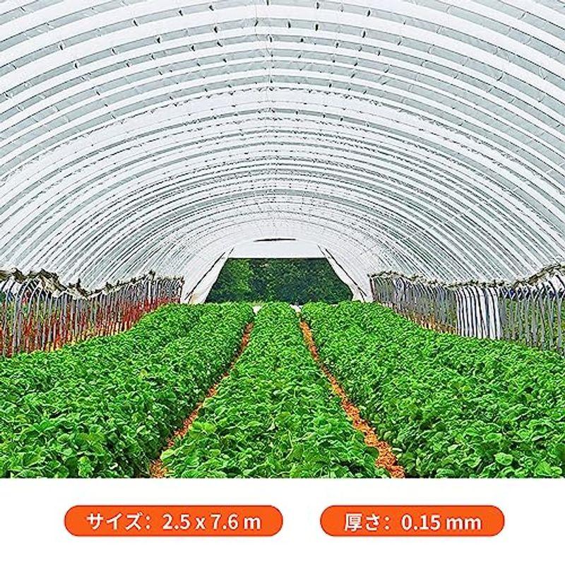 ビニールハウス ビニールシート 透明 0.15mm ビニール温室 替えカバー 植物栽培 園芸用菜園ハウス 菜園ビニールハウス 花園温室 防雨