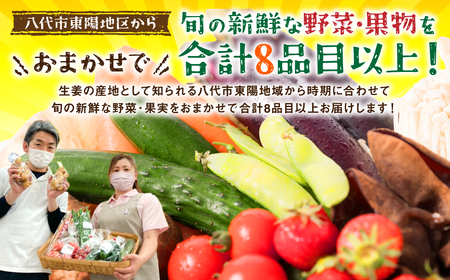 八代市産！旬の農産物詰合せ 復興 福袋 8品以上