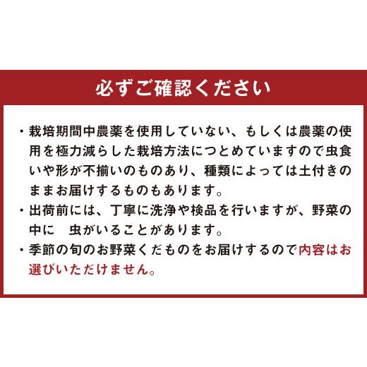 ふるさと納税 大分県 豊後大野市 152-811  豊後大野市の旬の お野菜 くだもの セット 6〜8品 大分県産 フルーツ 旬 青果…